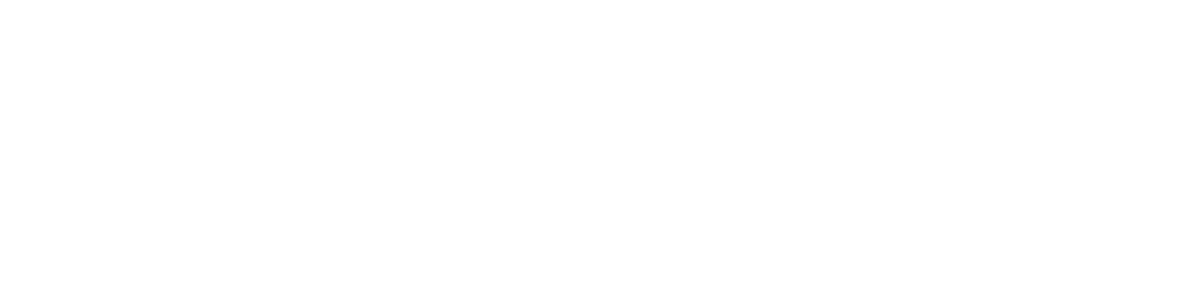 Logo - en partenariat avec NACON - Blanc.png