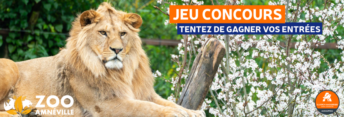 Jeu concours Zoo d'Amnéville | Aushopping Illkirch