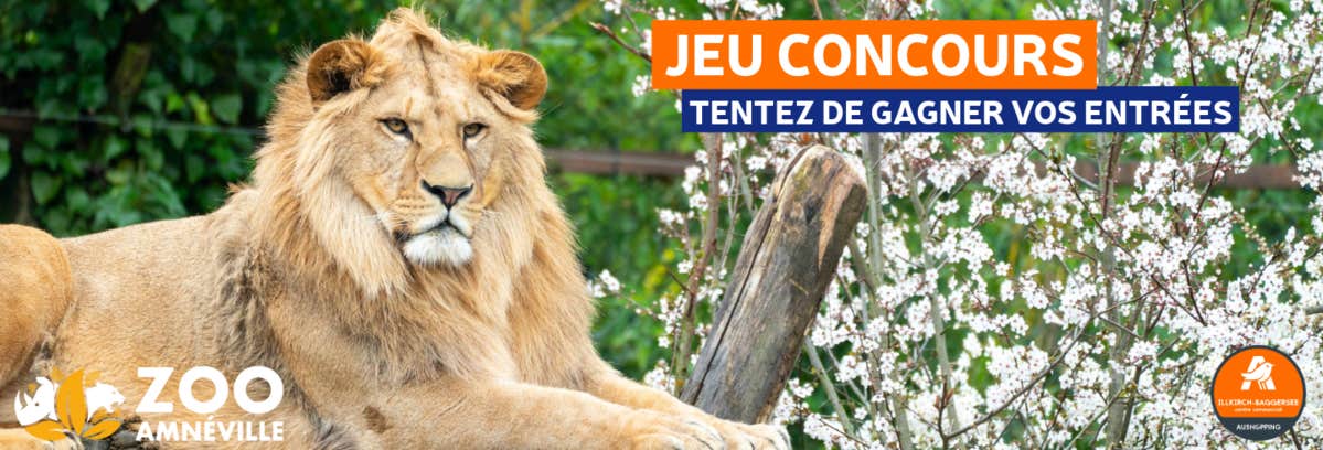 Jeu concours Zoo d'Amnéville | Aushopping Illkirch