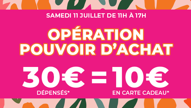 pouvoir d'achat soldes été