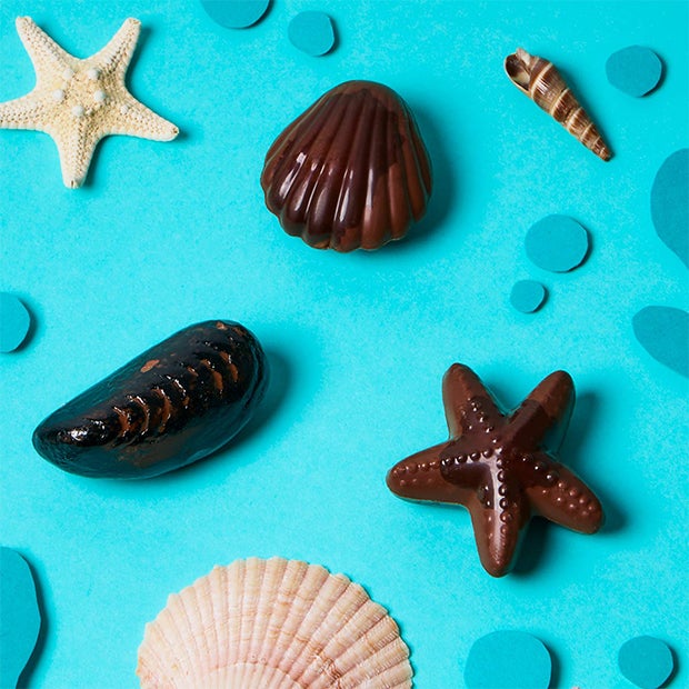 COLLECTION BORD DE MER - Jeff de Bruges