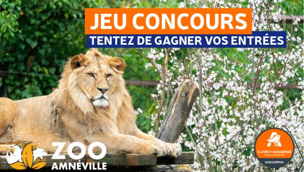 Jeu concours Zoo d'Amnéville | Aushopping Illkirch